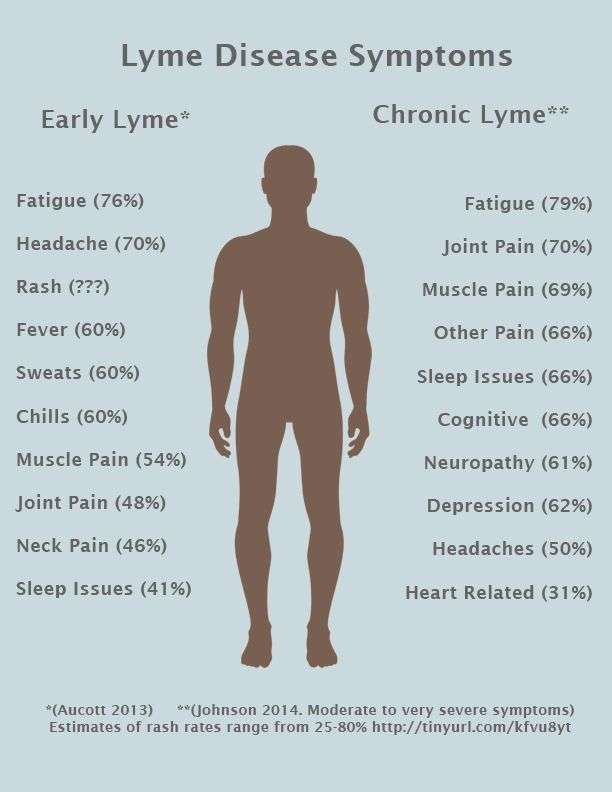 Chronic Lyme Disease