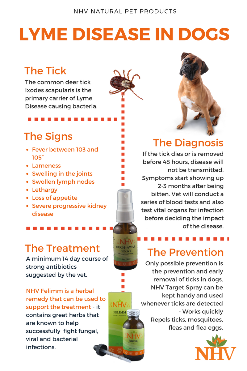 How Long After Tick Bite Does Lyme Disease Appear In Dogs ...