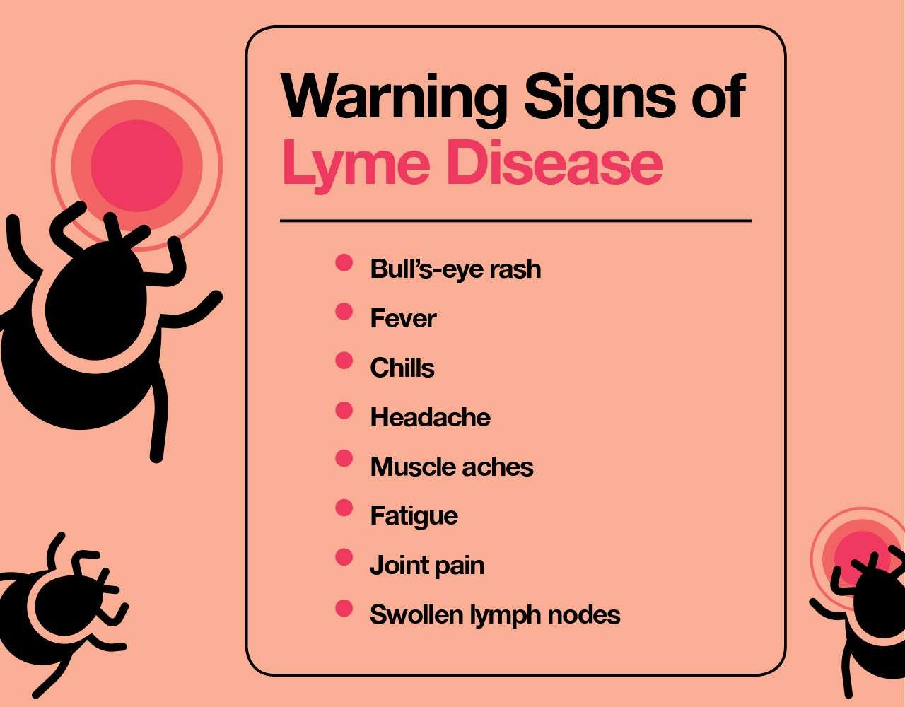 How to Treat Lyme Disease: Your Complete Guide  The Amino ...