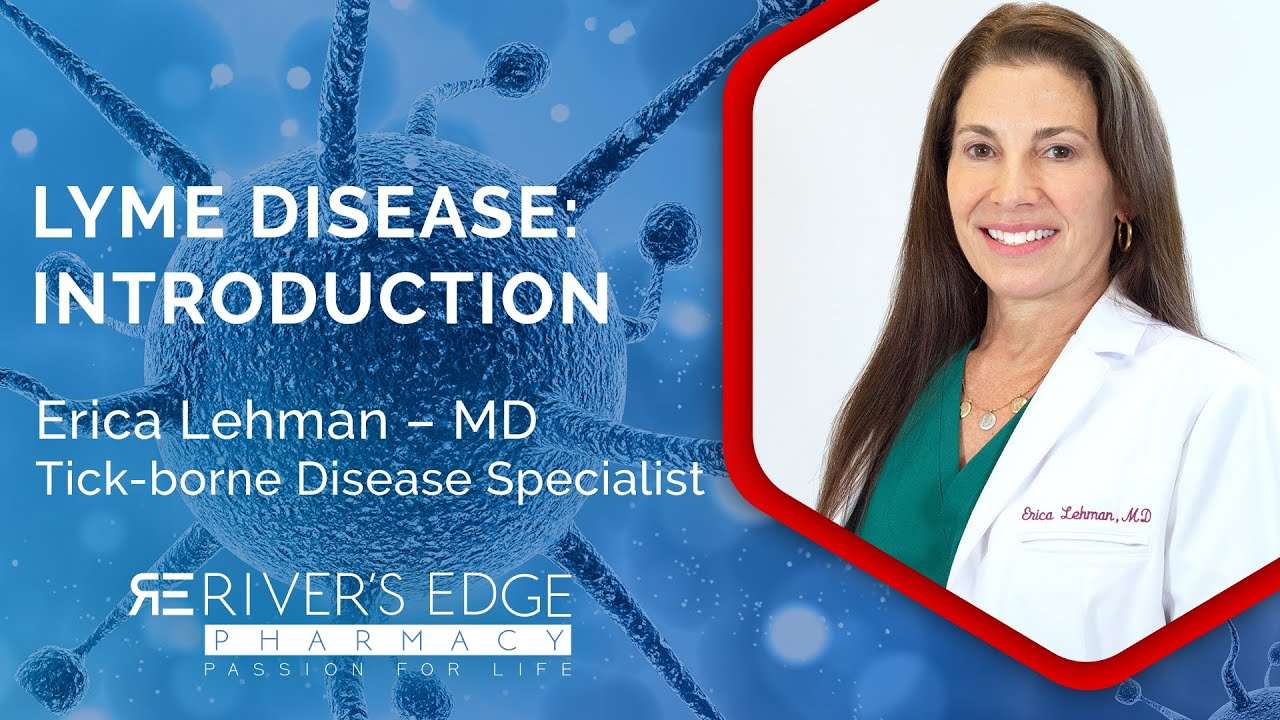 Introduction to Lyme Disease by Dr. Erica Lehman â MD ...
