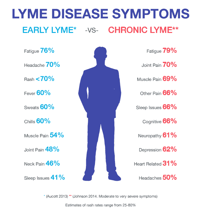 Lyme Disease Diagnosis &  Treatment