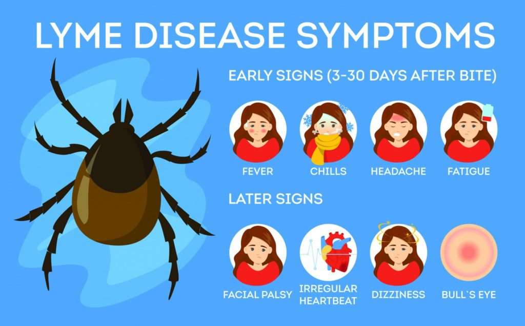 Treatment for Lyme Disease