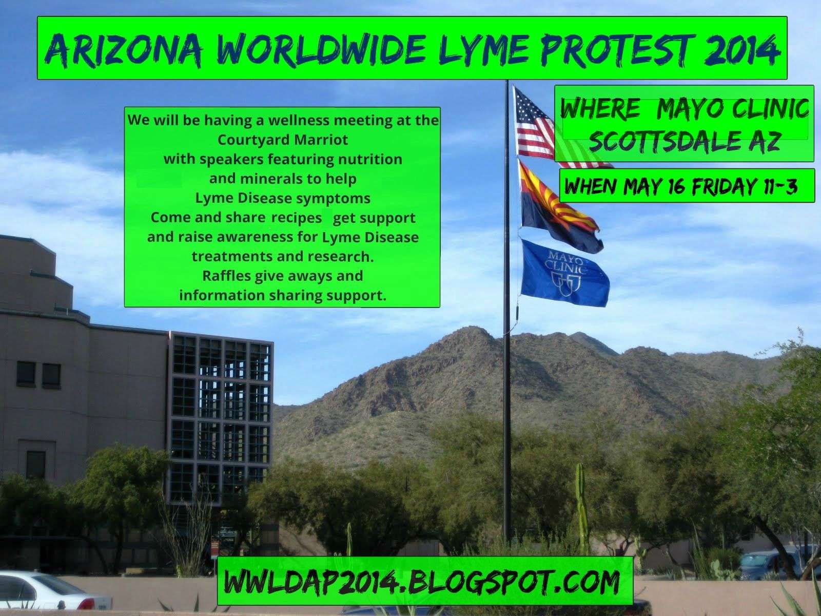 Worldwide Lyme Disease Awareness Protest 2014: Arizona