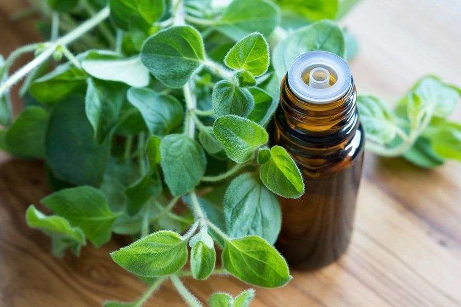 6 Essential Oils For Lyme Disease In 2021