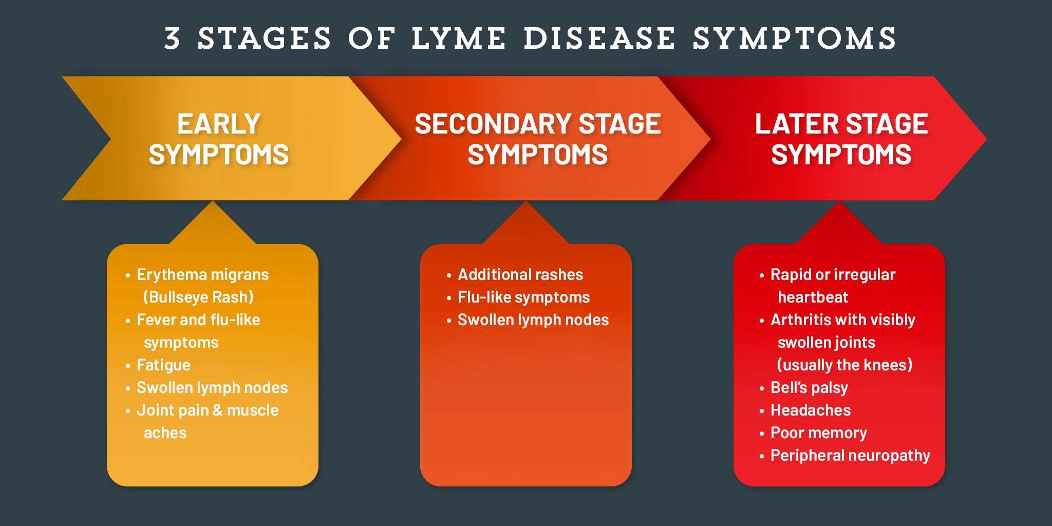 Dangers Of Lyme Disease