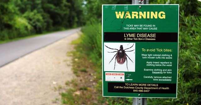 Frequently Asked Questions About Lyme Disease