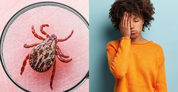 How to Live With Lyme Disease