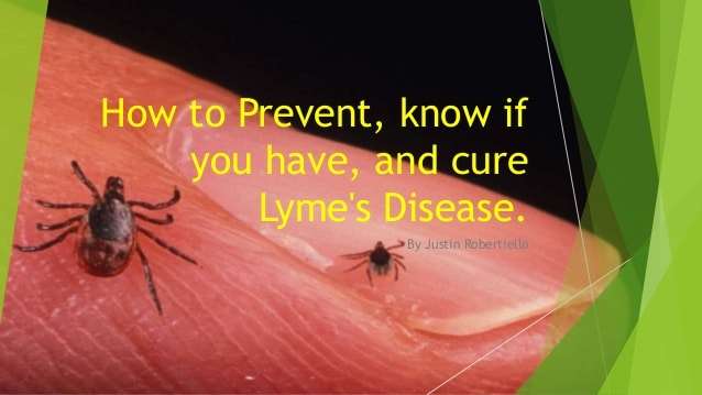 How to prevent, know if you have, and cure Lymes  Disease