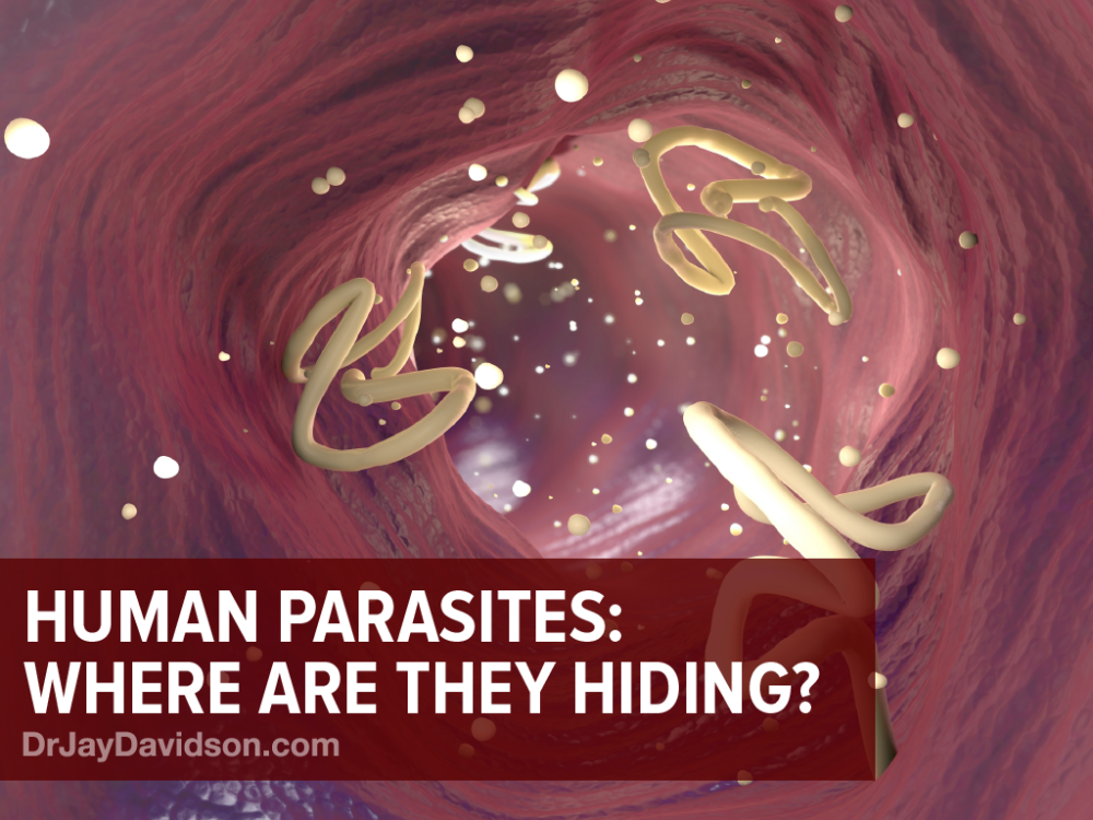 Human Parasites Dr. Jay Davidson in 2020