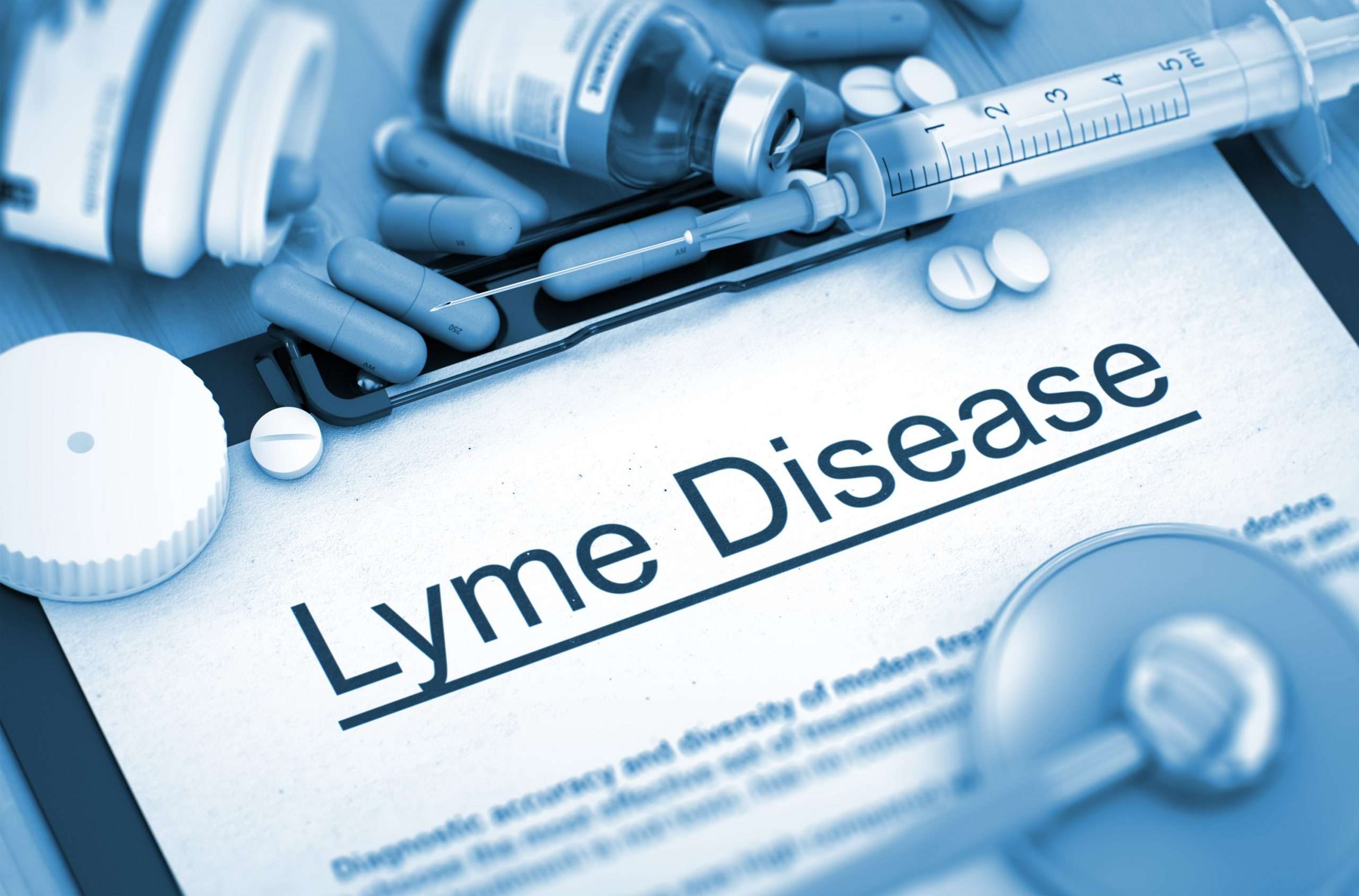 Lyme Disease and Co