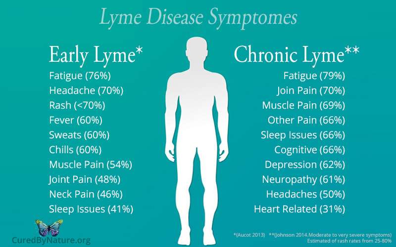 Lyme Disease Natural Treatments