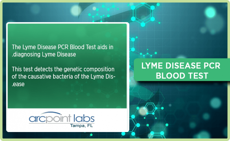 Lyme Disease PCR Blood Test
