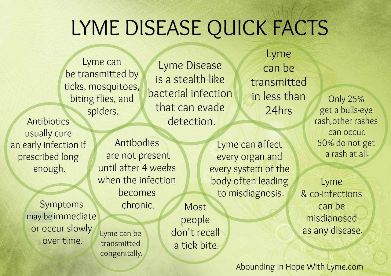 Lyme Disease Quick Facts  Abounding in Hope with Lyme