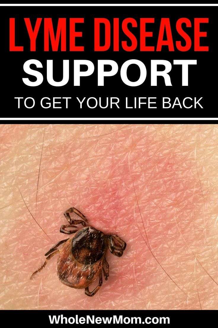 Lyme Disease Support so you can get your life back.