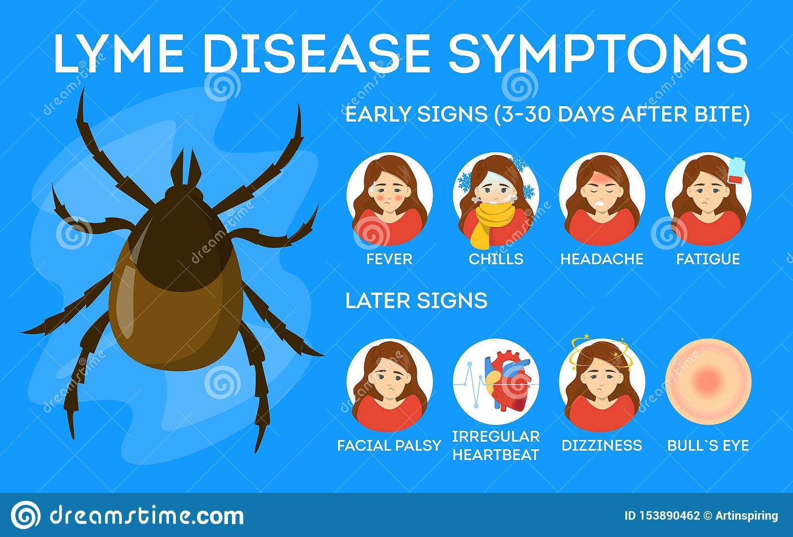 Lyme Disease Symptoms. Danger For Health From Tick Stock ...
