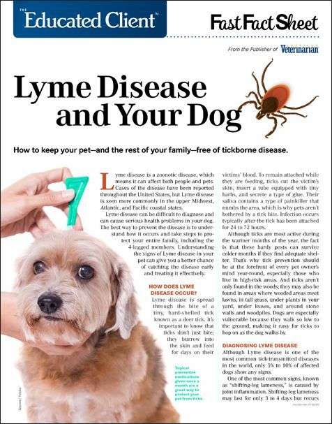 Lyme Disease &  Your Dog: Lyme disease can be difficult to ...