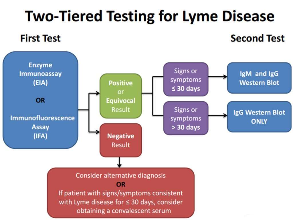LYMEPOLICYWONK: Lyme disease testingthe CDC, LabCorp and ...