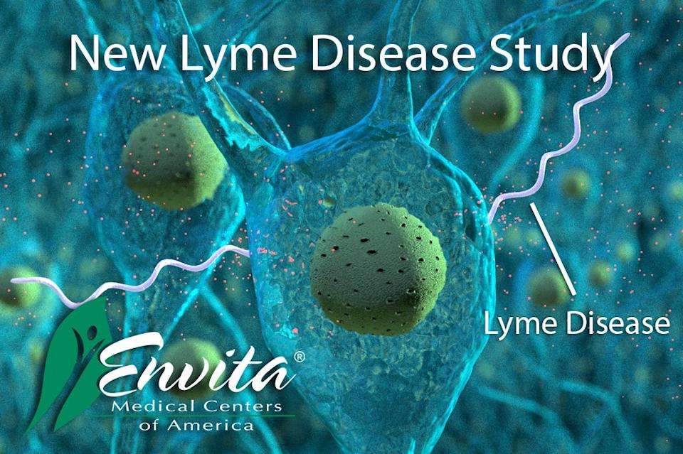 New Envita Study Shows Chronic Lyme Disease " Fools"  Immune ...