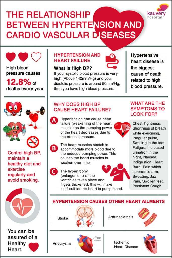 The Relationship between Hypertension and Cardio Vascular ...