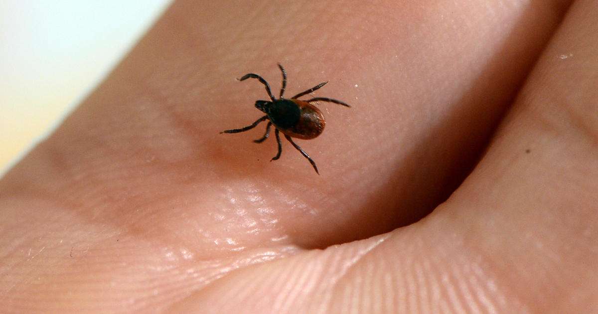 Ticks that carry Lyme disease are spreading fast