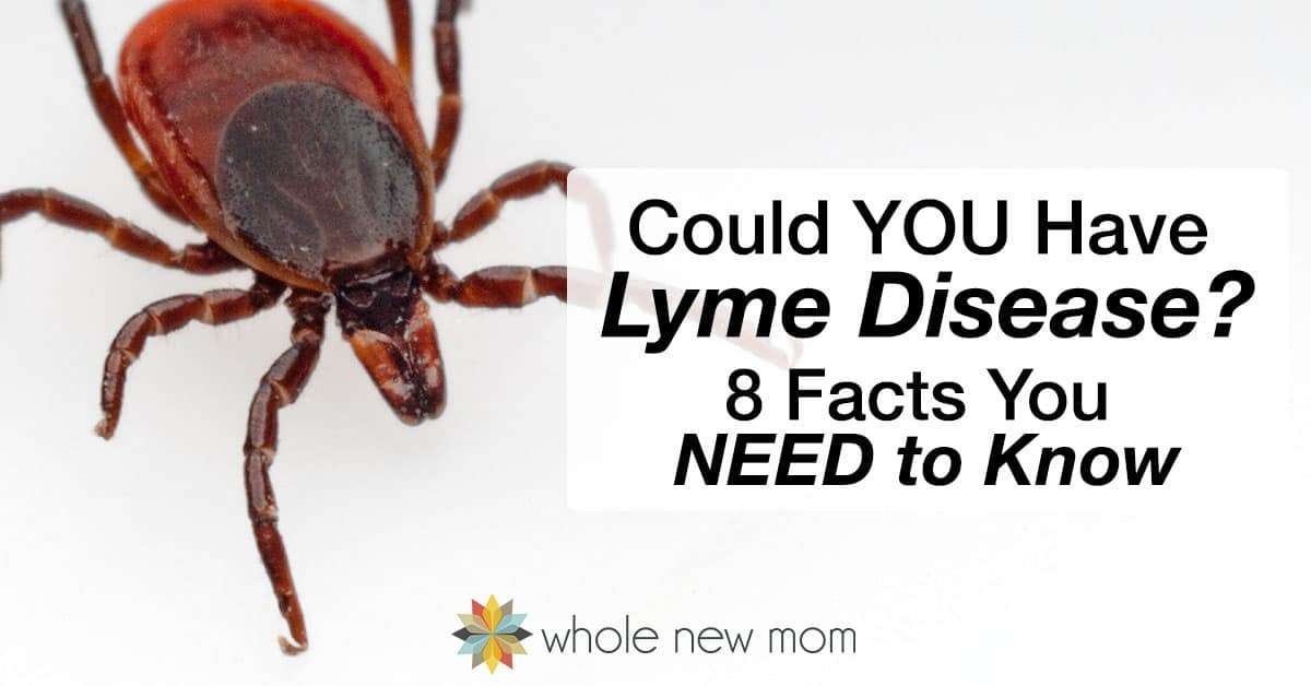 What is Lyme Disease? 8 Facts You Need to Know