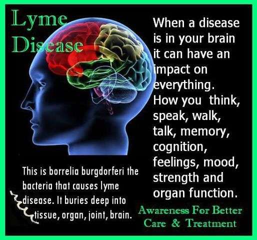 68 best images about Lyme Disease and Tick