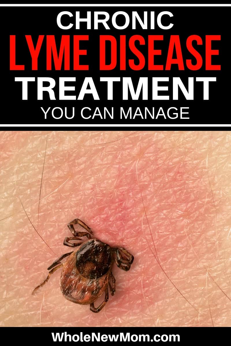 A Chronic Lyme Disease Treatment