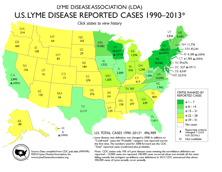 A Grave Interest: Putting Lyme Disease in the Limelight