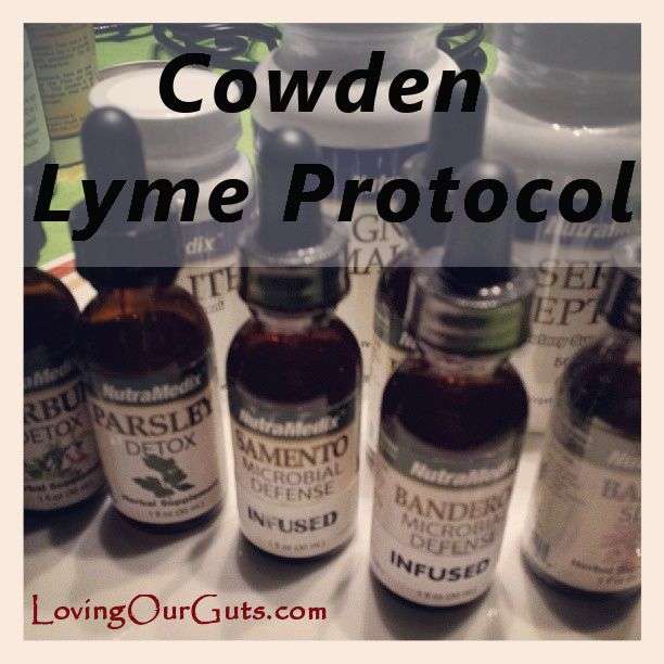 Cowden Lyme Protocol Deep Discount