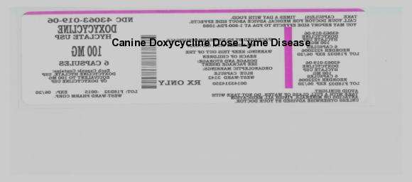 Doxycycline dose for lyme disease in dogs  pulmonary ...