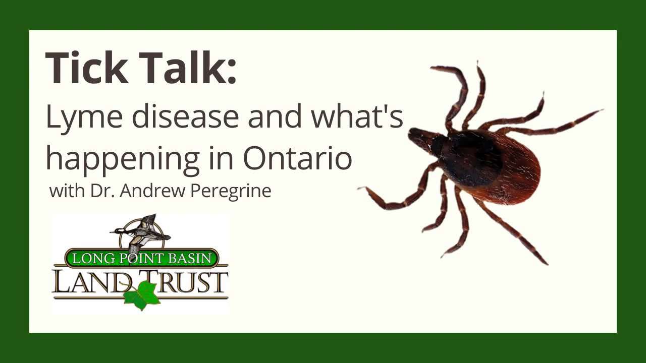 Tick Talk: Lyme Disease and What