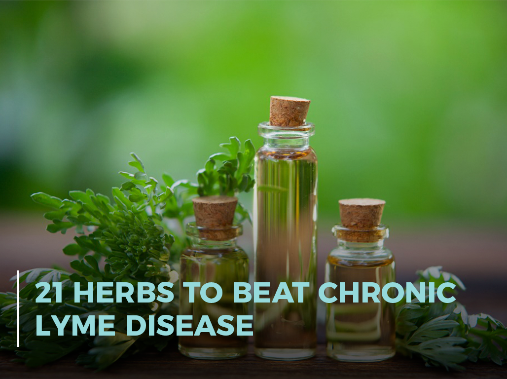 21 Herbs to Beat Chronic Lyme Disease