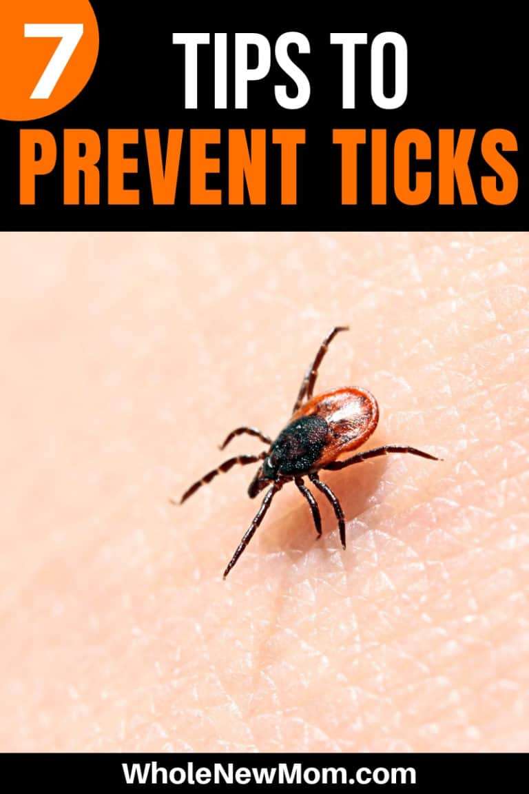 7 Tick Prevention Tips You Need to Know!