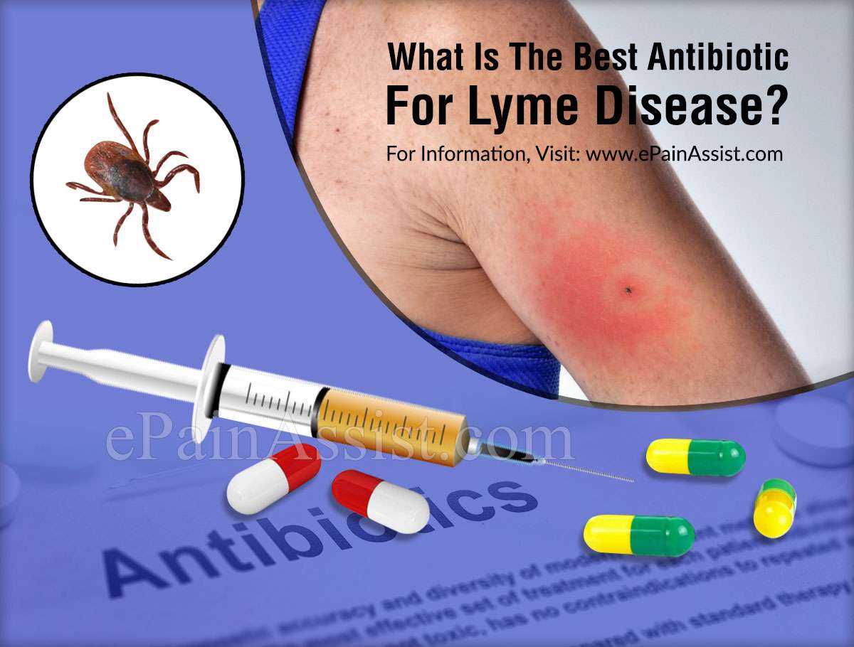 Antibiotics And Lyme Disease