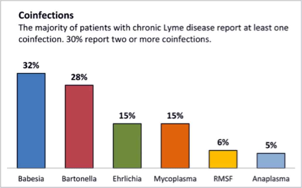 Chronic Lyme Disease Treatment