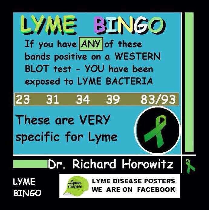 Lyme Bingo: If you have ANY of these bands positive on a ...