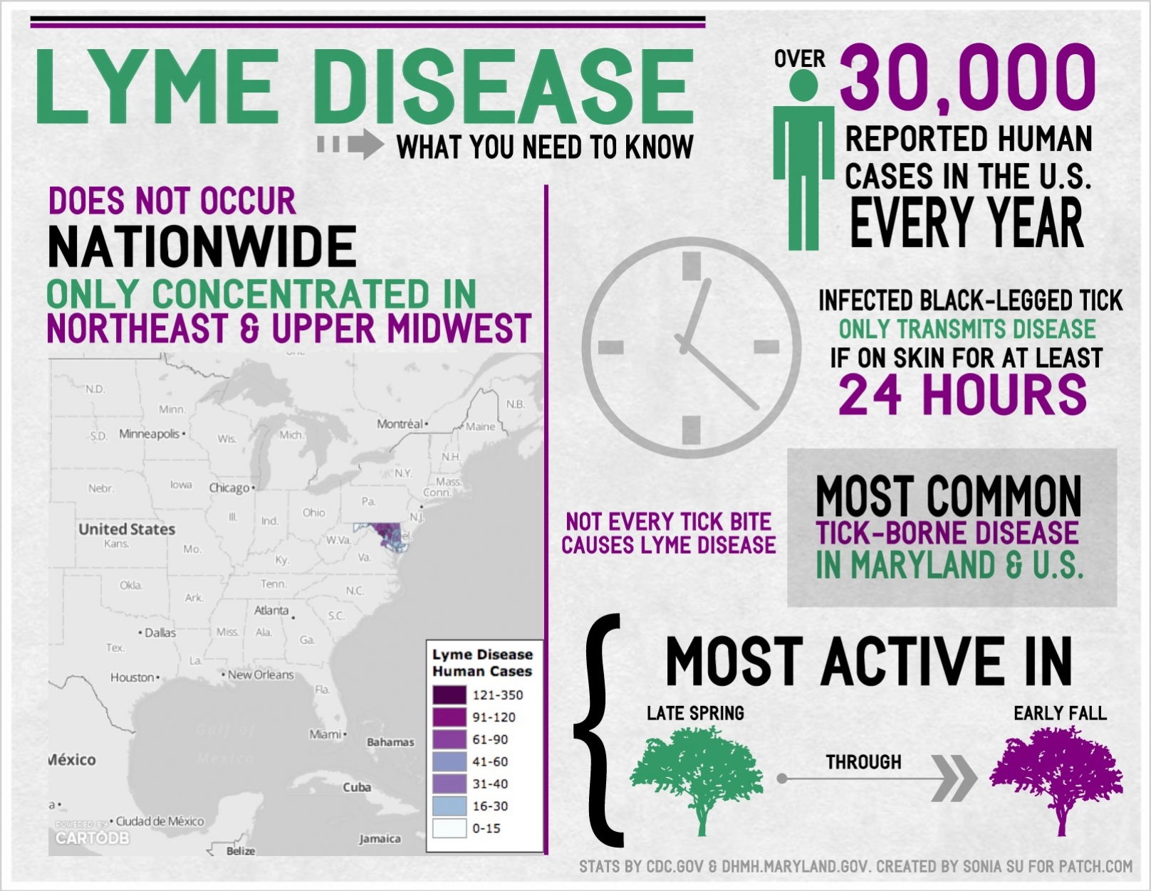 Lyme Disease Symptoms, Prevention and Treatment: What You ...
