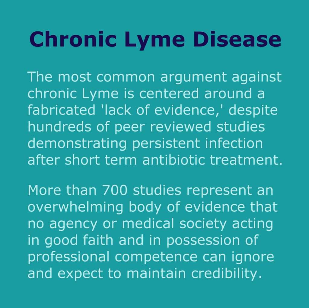 Recovering from Lyme Disease