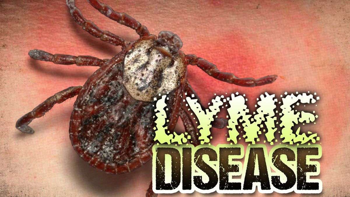 Symptoms of untreated Lyme disease