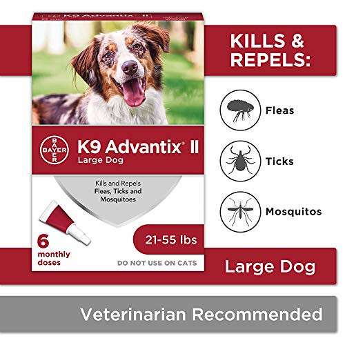 Watch out for Ticks!