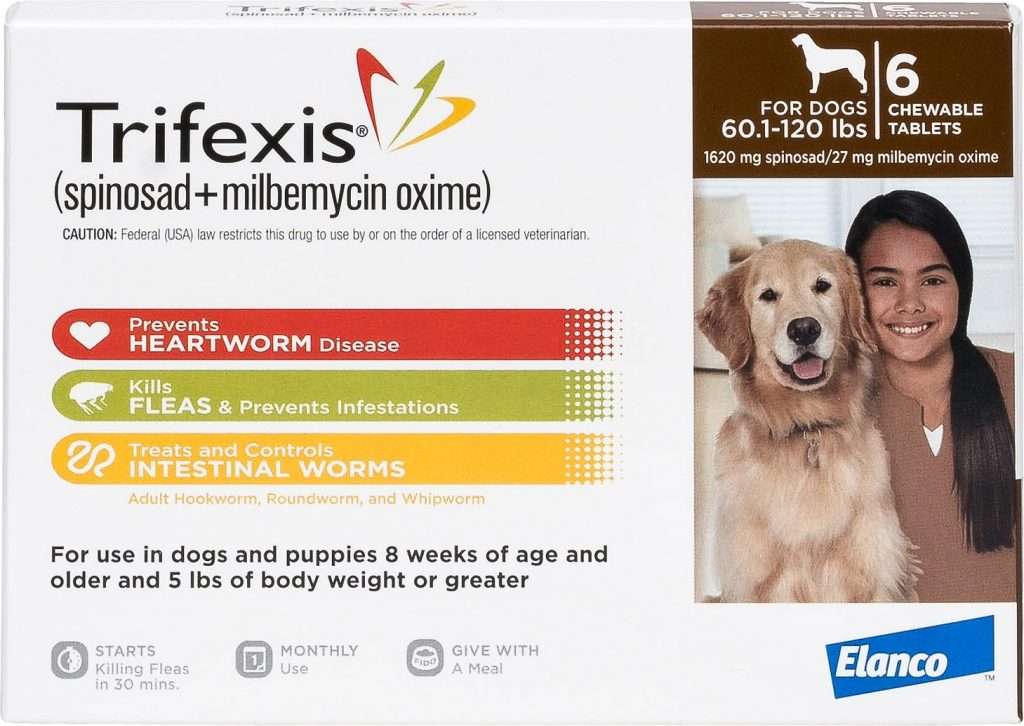 NexGard For Dogs Review: We Asked A Vet