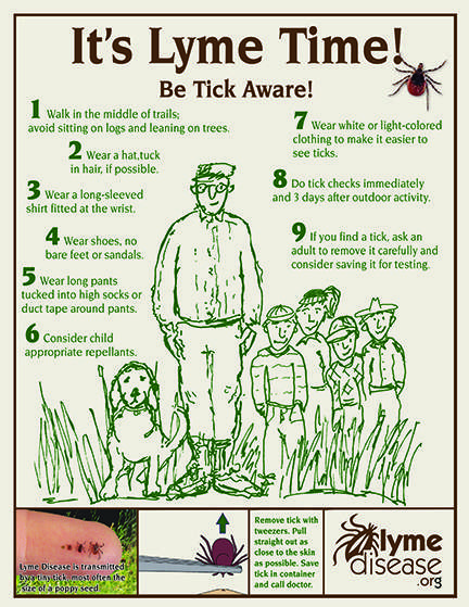 You Can Do It! Put Up Posters for Lyme Disease Awareness ...