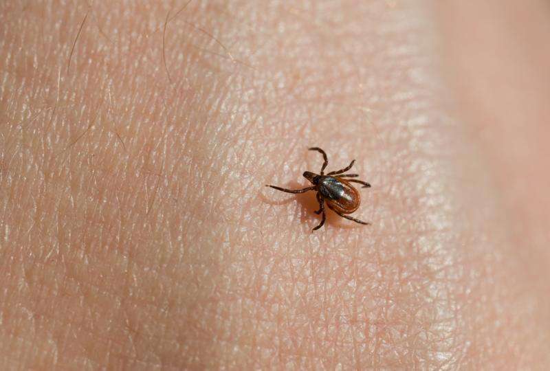 Can a person get Lyme disease twice?