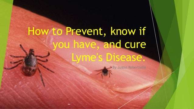 How Do You Know If You Have Lyme Disease
