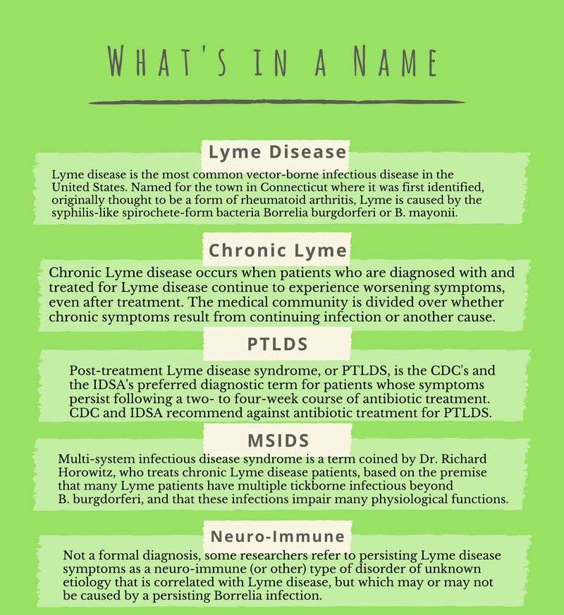 Lyme: Would a disease by any other name be easier to treat?
