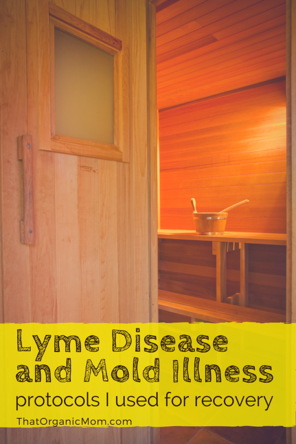 Protocol for treating Lyme Disease and Mold Illness that ...