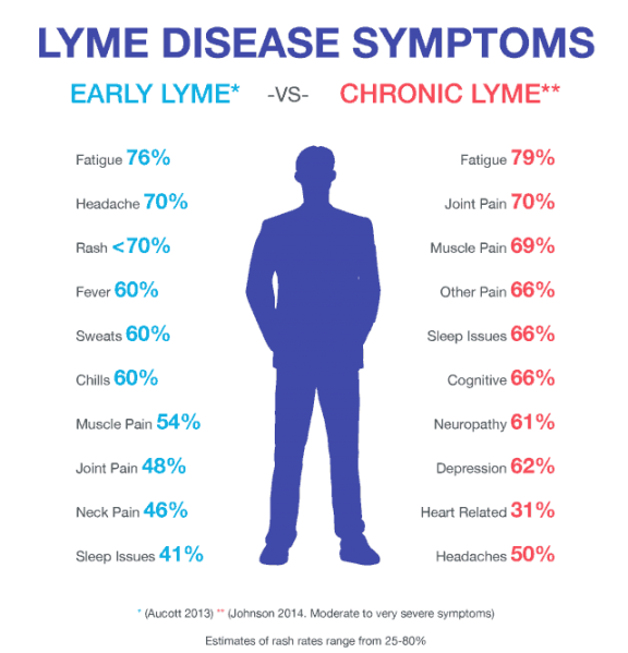 Your Lyme Disease Test Results Are Negative, But Your ...