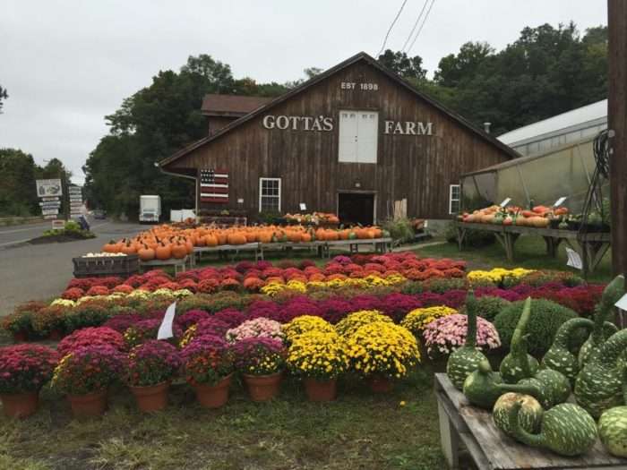 10 Countryside Orchards In Connecticut For Picture Perfect Apple Picking