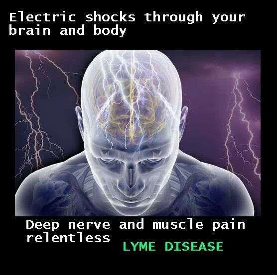 1000+ images about Lyme Disease on Pinterest
