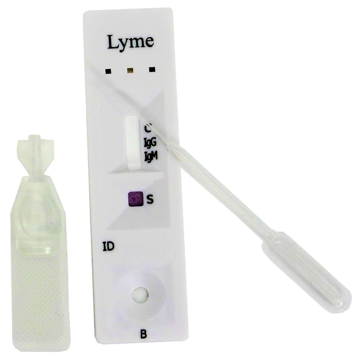 20 x Lyme Disease Blood Test, Lyme Borreliosi
